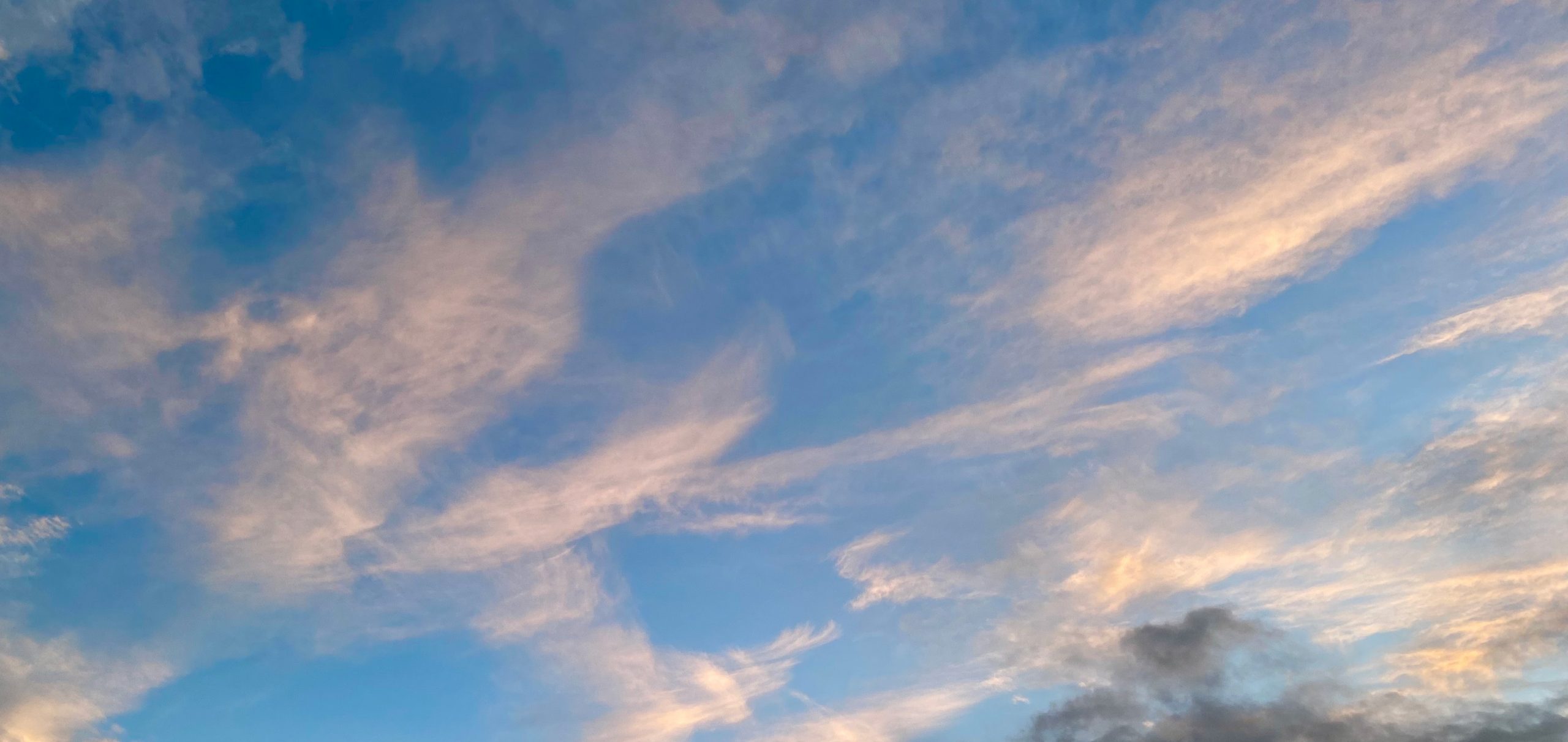 Sharing and researching practices that cultivate awareness, compassion, and healing.